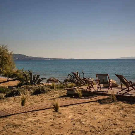 Votsalo Suite-grand Blue *